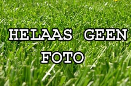 Landbouwgrond te Sellingen