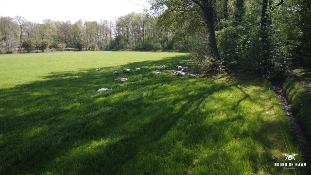 Uniek gelegen Woonboerderij met Weiland en Bos