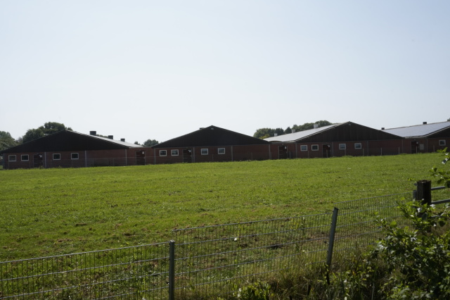 Grootouderdierenbedrijf te Een-West
