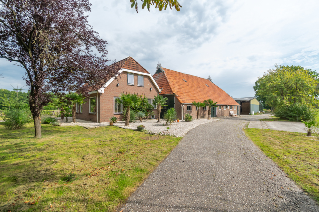 Geitenbedrijf te Zandhuizen