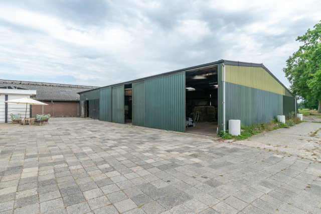 Geitenbedrijf te Zandhuizen