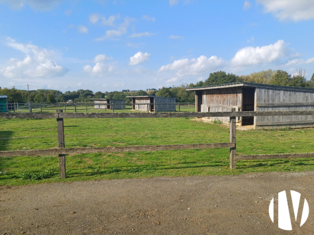 10466 ILLE ET VILAINE Prachtige paardenhouderij