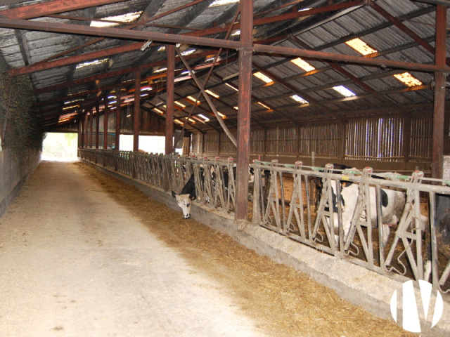 10494 FINISTERE 670.000L robotmelken met weidegang