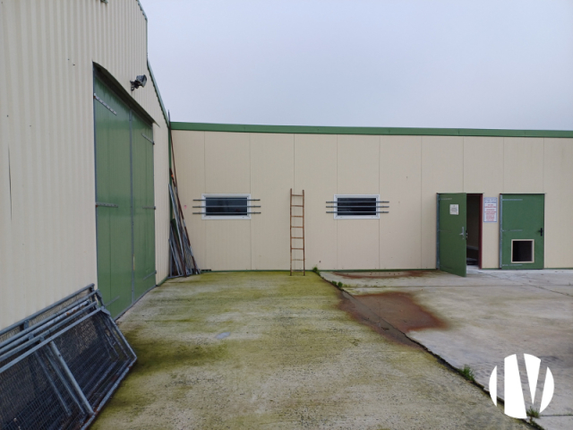 10515 Zeer winstgevende opfok van leghennen.60 ha