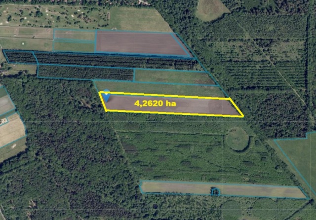 Landbouwgrond te Ees