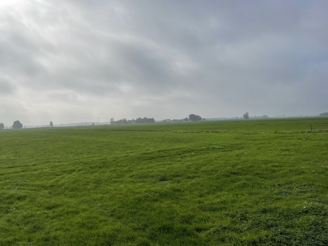 9, 12,31 of 21,31 hectare aaneengesloten grasland