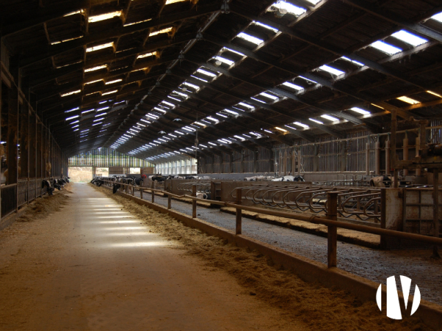 10768 Melkveehouderij op 232 ha