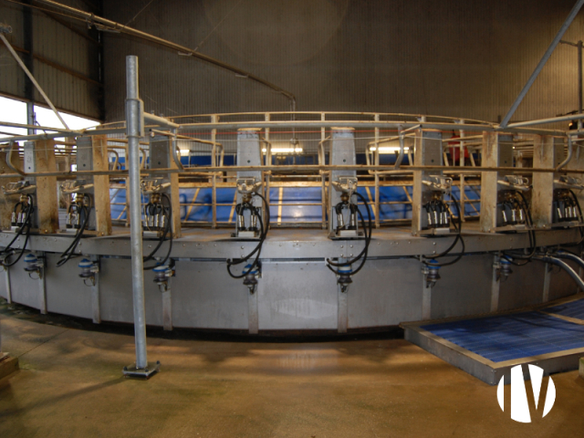 10768 Melkveehouderij op 232 ha