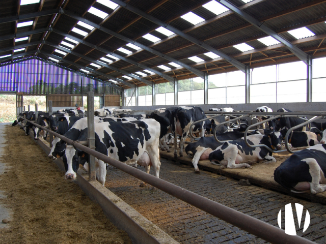 10768 Melkveehouderij op 232 ha