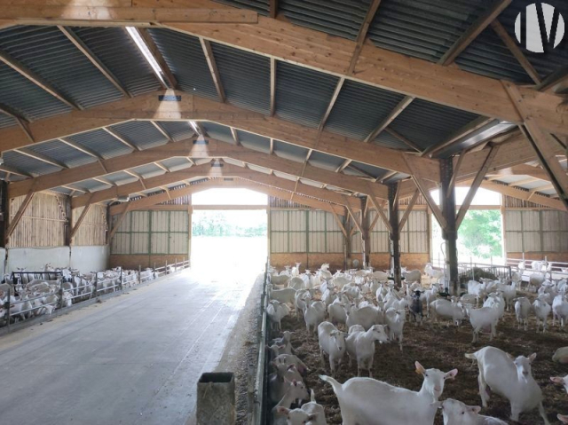 10135 Landgoed voor agrotoerisme en geitenhouderij