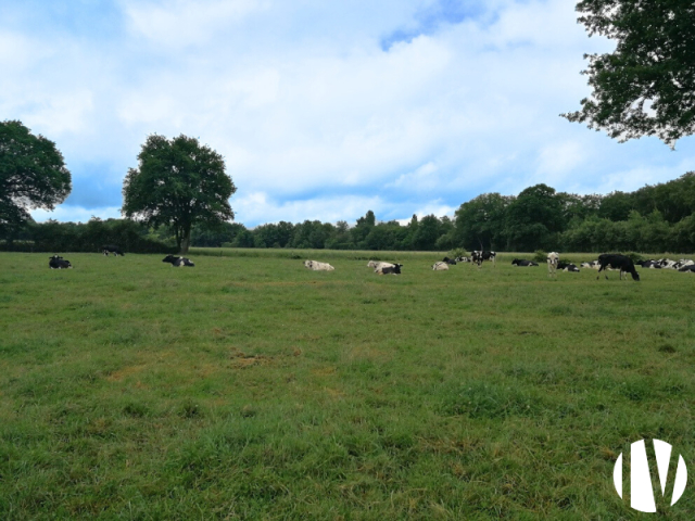 10593 Melkveebedrijf op 129 hectare