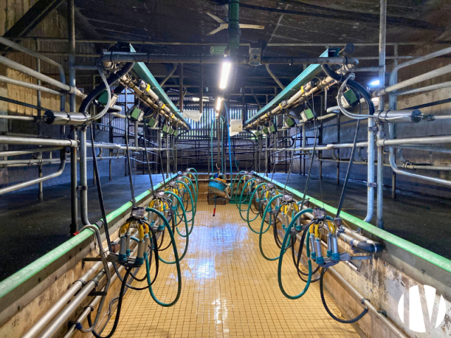 10593 Melkveebedrijf op 129 hectare