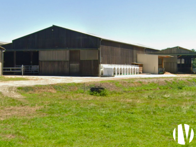 10598 Melkveebedrijf op 99 ha