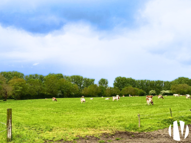 10598 Melkveebedrijf op 99 ha