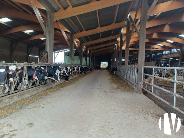 10673 Mooi gemengd bedrijf op 130 ha