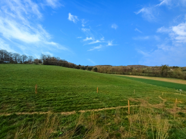 10673 Mooi gemengd bedrijf op 130 ha