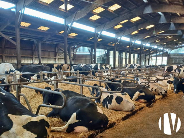 10673 Mooi gemengd bedrijf op 130 ha