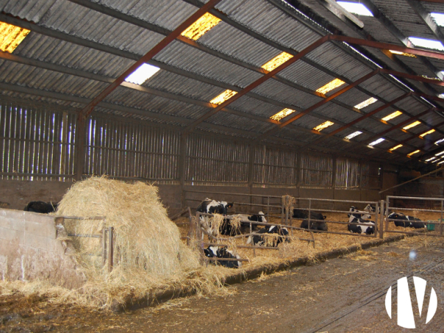 10494 FINISTERE 670.000L robotmelken met weidegang