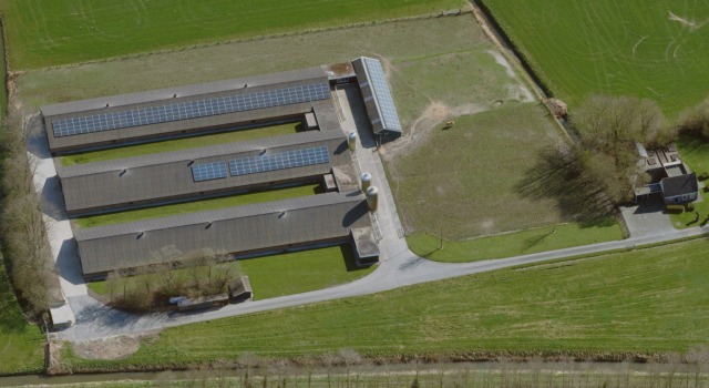 Vleeskuikenouderdierenbedrijf te Oostrum