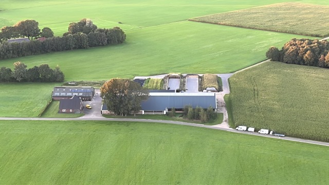 Melkveebedrijven in Achterhoek/Veluwe/IJsselvallei