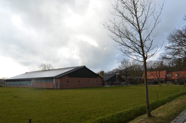 Melkveebedrijven in Achterhoek/Veluwe/IJsselvallei