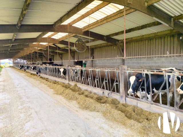 10765 1.mln ltr melk met uitzonderlijke veestapel